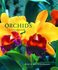 Book: Orchids - Brian Rittershausen