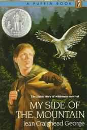 My Side of the Mountain by Jean Craighead George (1991, Paperback)
