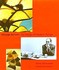 Book: George Nelson Stanley Abercrombie, Hardcover