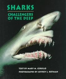Sharks by Mary M. Cerullo (1992, Hardcover)