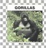 Book: Gorillas - Mae Woods