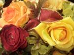 gingrrose80