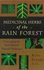Book: Medicinal Herbs of the Rain Forest Rita Elkins, Paperback