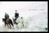 The Horse Is Good by Viggo Mortensen (2004, Hardcover)
