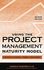 Using The Project Management Maturity Model by Harold Kerzner (2005, Hardcover)