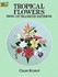 Book: Tropical Flowers Iron-On Transfer Patterns Claire Bryant, Paperback