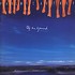 CD: Off The Ground Paul McCartney, 1993