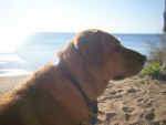 sun-and-the-moon