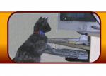 komputerkat
