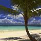 relaxing-nature-dvds