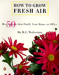 How to Grow Fresh Air by B. C. Wolverton (1997, Paperback)