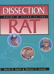 Dissection Guide & Atlas to the Rat by David G. Smith, Michael P. Schenk (2001, Paperback)