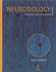 Neurobiology by Gary Matthews (2000, Hardcover, Subsequent Edition)