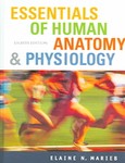NEW Essentials Of Human Anatomy And Physi 9780131934818