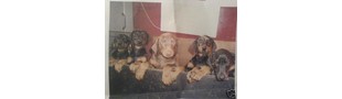 CHUCKYS RETRO VINTAGE COLLECTABLES