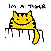 nytetiger13