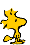 woodstock_rocks