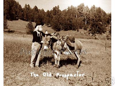 An Old Gold Prospector and his Pack Mule Mine Miner Mining Photo 