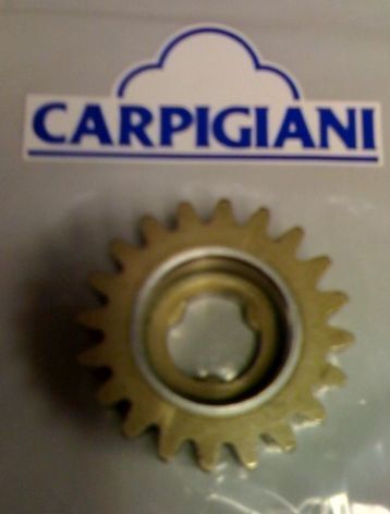 Carpigiani Coldelite All Soft Serve Driving Pump Gear  