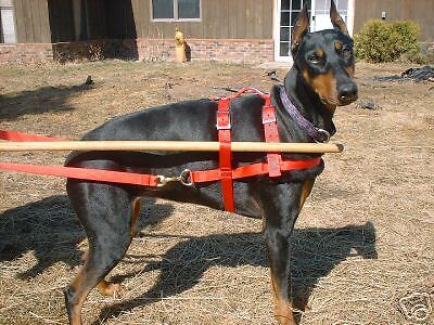 Sled, Cart, Wagon, dog harness 100   140#  