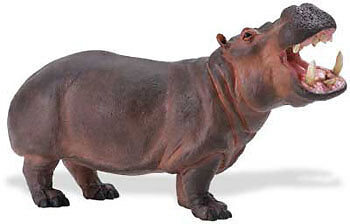 Big Hippopotamus Model 111889 Hippo  USA w Purchase $25 Safari