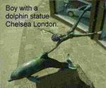 boywithadolphin