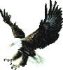 fouzar