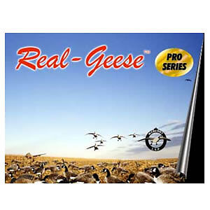 Real Geese Snow Goose Decoys 2 Dozen   