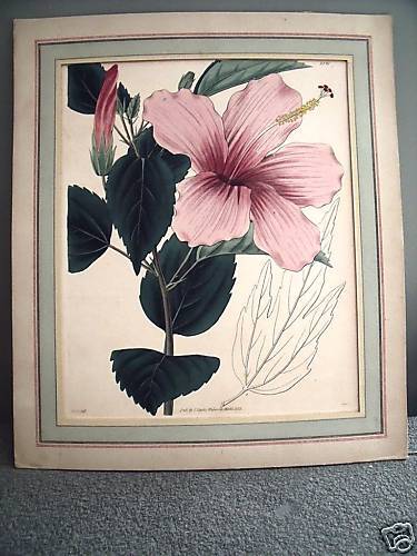 Vintage Curtis Walworth Print March 1829 w J H Del